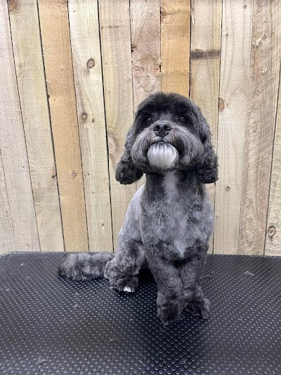 Photo associated with Pride & Groom Dog Groomer