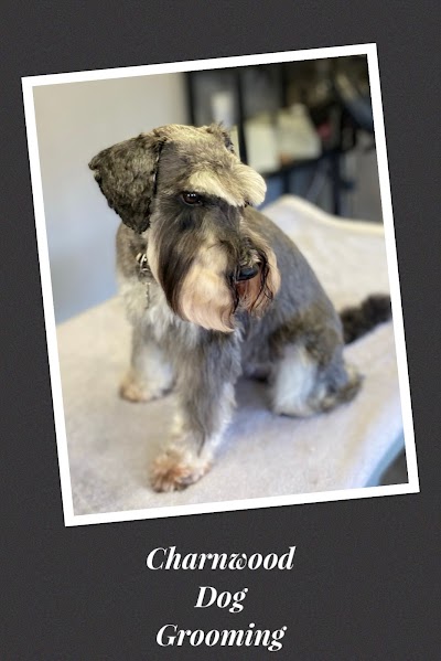 Photo associated with Charnwood Dog Grooming