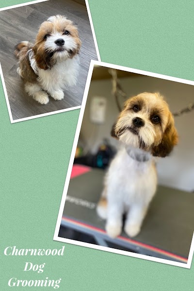 Photo associated with Charnwood Dog Grooming