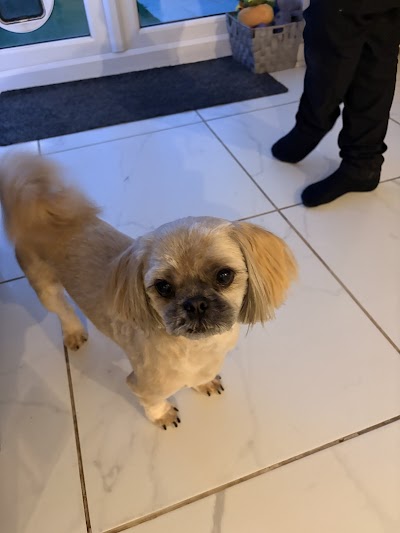 Photo associated with Aliwags Pet Grooming