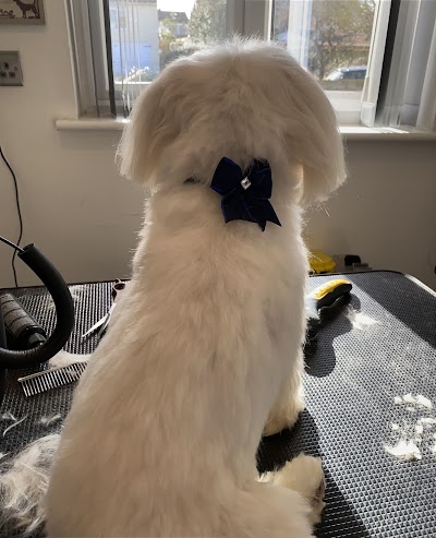 Photo associated with Happy Tails Dog Grooming