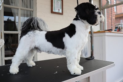 Photo associated with Pawfection Dog Groomers
