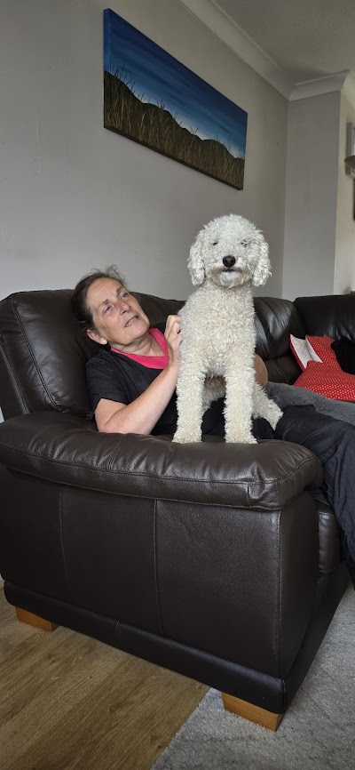 Photo associated with Currie Dog Grooming
