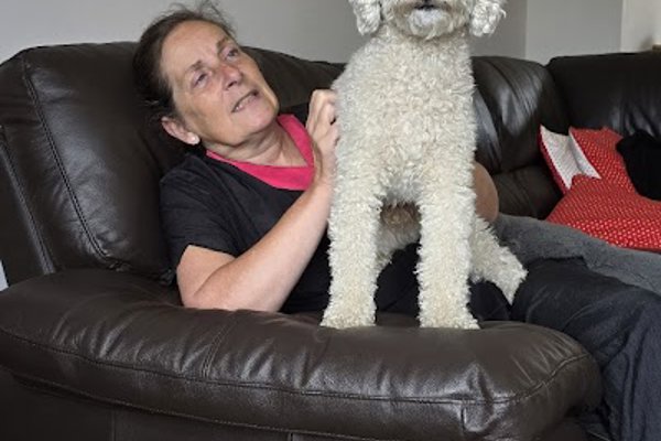 Photo associated with Currie Dog Grooming
