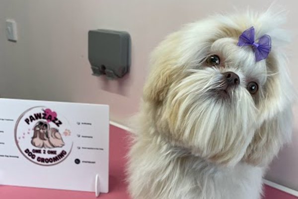 Photo associated with Pawzazz Dog Grooming