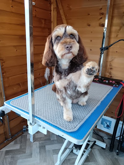 Photo associated with Holly's House Dog Grooming - Lincoln