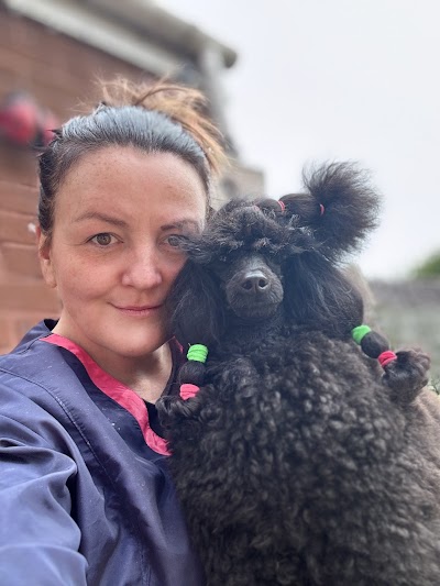 Photo associated with Cuddly Cuts Dog Grooming