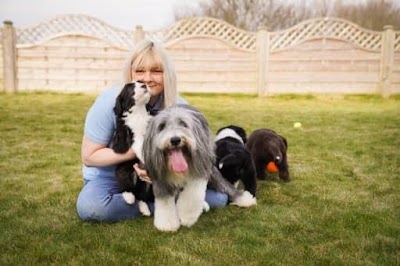Photo associated with Denham’s Den Dog Grooming