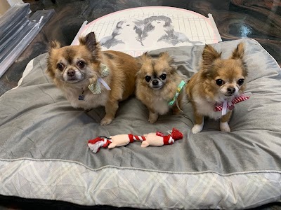 Photo associated with Denham’s Den Dog Grooming
