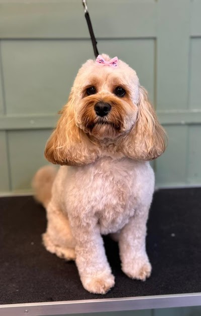 Photo associated with Furry Tails Dog Grooming