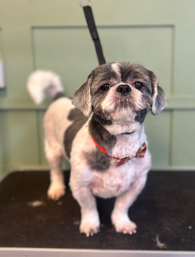 Photo associated with Furry Tails Dog Grooming