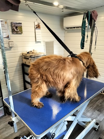 Photo associated with Nose2tail dog groomers