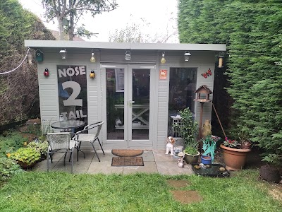 Photo associated with Nose2tail dog groomers