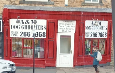 Photo associated with A & M Dog Grooming