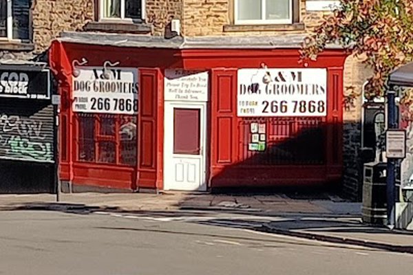 Photo associated with A & M Dog Grooming