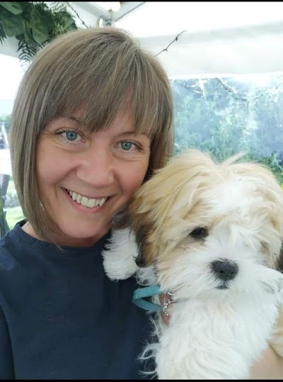 Photo associated with Raggy Rascals Holistic dog grooming and pet services