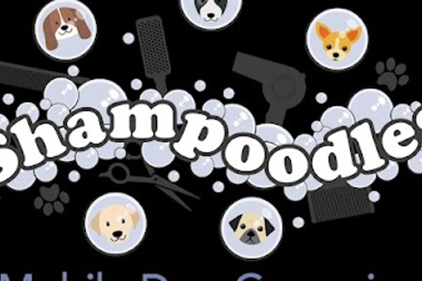 Photo associated with Shampoodles Mobile Dog Grooming