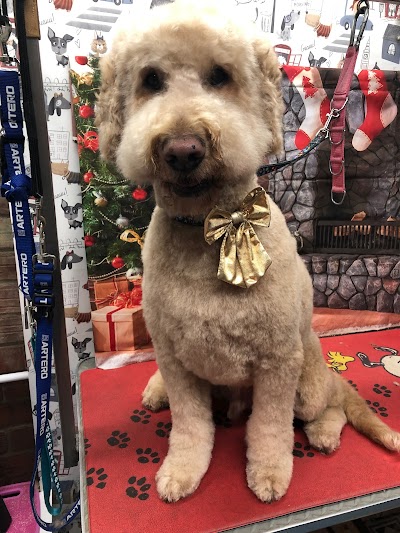 Photo associated with Tanya's Dog Grooming