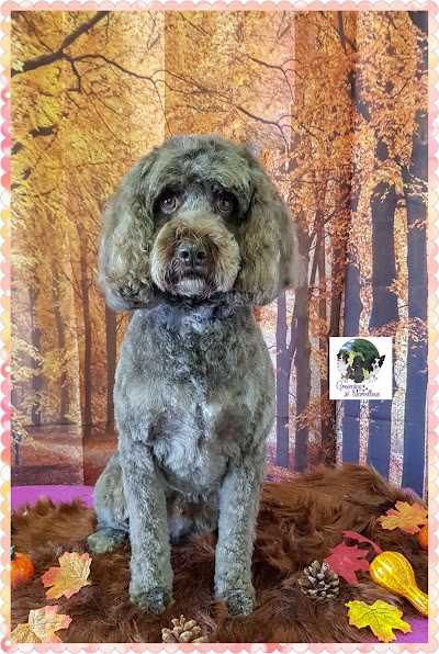 Photo associated with Grooming Marvellous