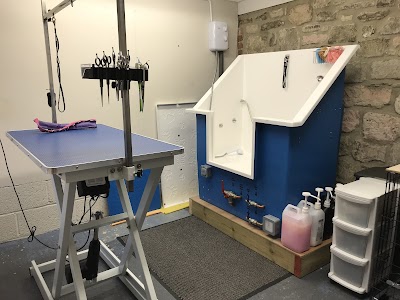 Photo associated with Happy Hound Dog Grooming Service