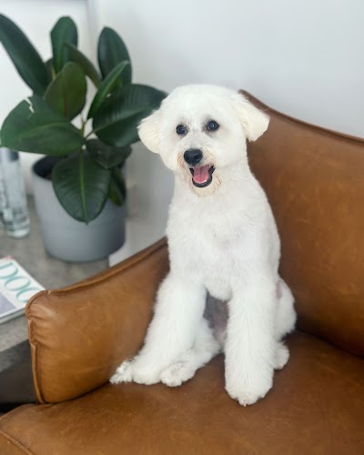 Photo associated with Soulmates Pet Wellness & Beauty