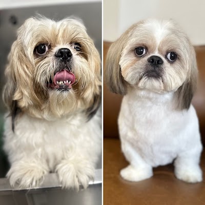 Photo associated with Soulmates Pet Wellness & Beauty