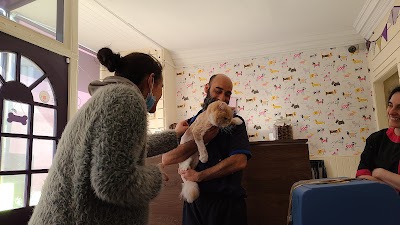 Photo associated with Boney's Dog Groomers