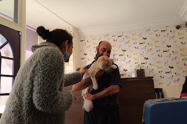 Photo associated with Boney's Dog Groomers