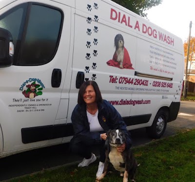 Photo associated with Dial a Dog Wash Chingford, South Woodford & surrounding