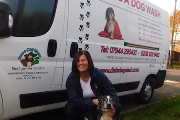 Photo associated with Dial a Dog Wash Chingford, South Woodford & surrounding