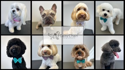 Photo associated with Daisy Chain Dog Grooming