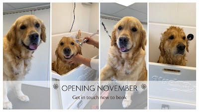 Photo associated with Daisy Chain Dog Grooming