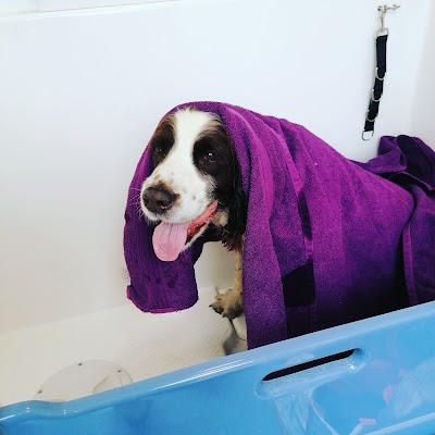 Photo associated with Durty Dugs Dog Grooming