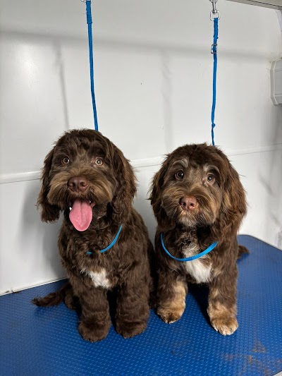 Photo associated with Mobile Dog Salon