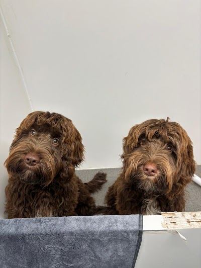 Photo associated with Mobile Dog Salon