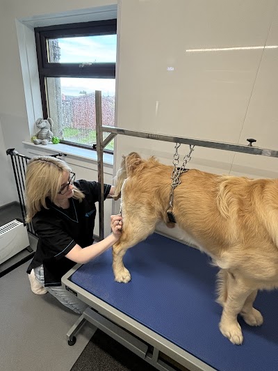 Photo associated with Beau Dog Grooming