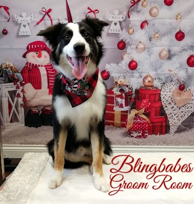 Photo associated with Blingbabes Groom Room Dog Groomer