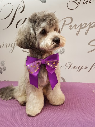 Photo associated with DOGZI K9 BEAUTY AND DOG GROOMING SALON