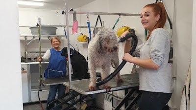 Photo associated with Jackie's Pawz and Clawz Dog Groomers