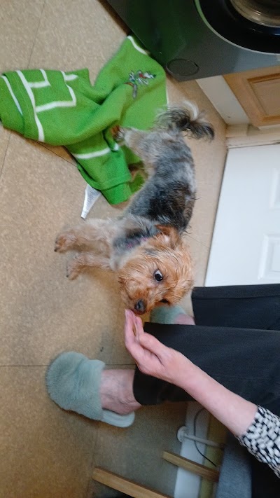 Photo associated with Washy Dogs