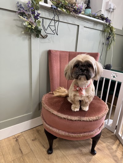 Photo associated with Doggie Mammasita Dog Grooming