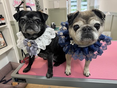 Photo associated with Doggie Mammasita Dog Grooming
