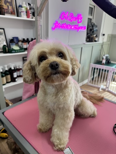 Photo associated with Doggie Mammasita Dog Grooming