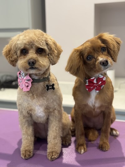 Photo associated with Bark and Bubbles Dog Grooming