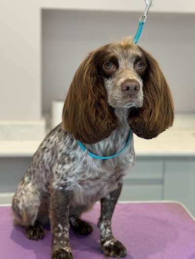 Photo associated with Bark and Bubbles Dog Grooming