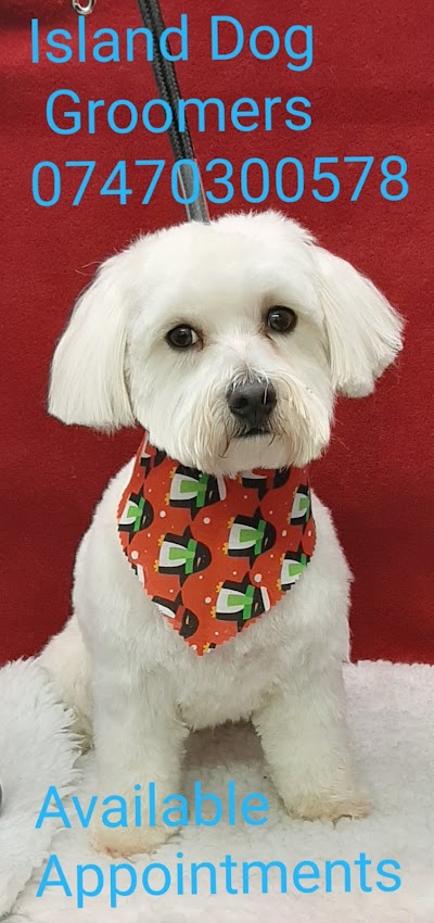 Photo associated with Island Dog Groomers