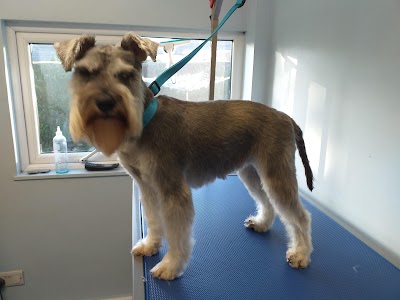 Photo associated with Alwoodley Dog Grooming