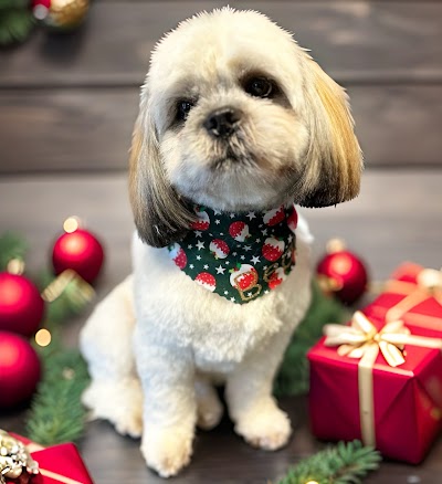 Photo associated with Belles and Bubbles Dog Grooming