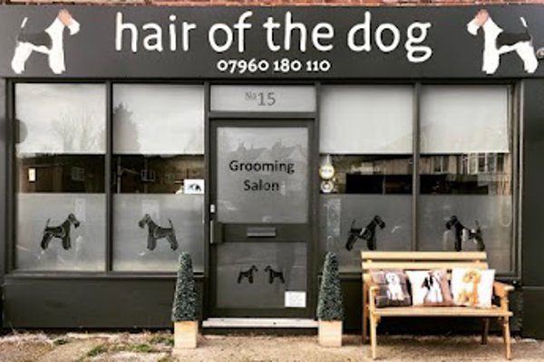 Photo associated with hair of the dog nottingham