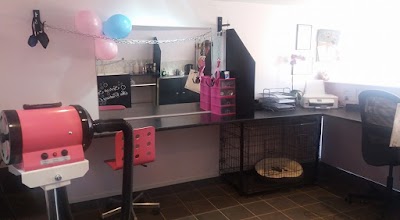 Photo associated with Lugs N Hugs Mobile Dog Grooming